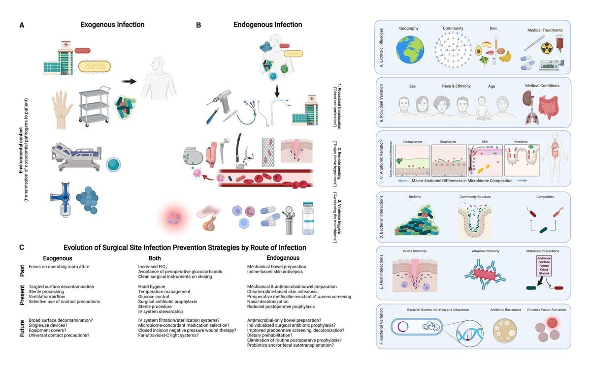 Illustrated Figures explaining Patient Microbiome and Antimicrobial Resistance